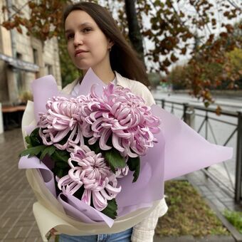 Букет из Трех Хризантем Виена "Лиловая Симфония"