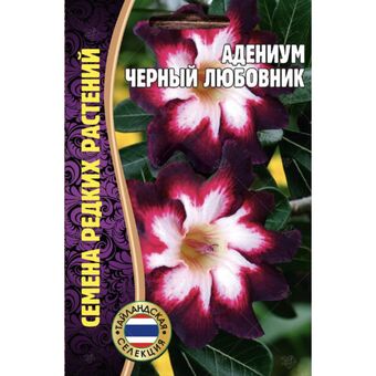 Адениум Черный любовник 3шт (Ред.Сем)